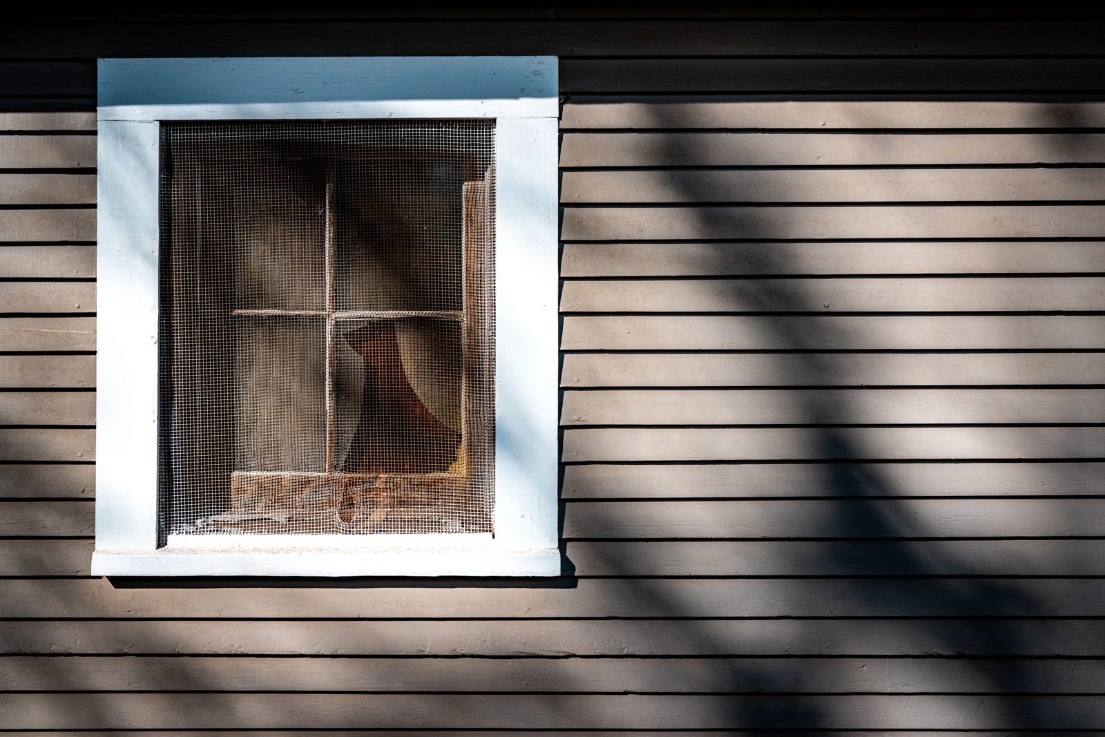 Window with a mesh screen on a wood-sided house
