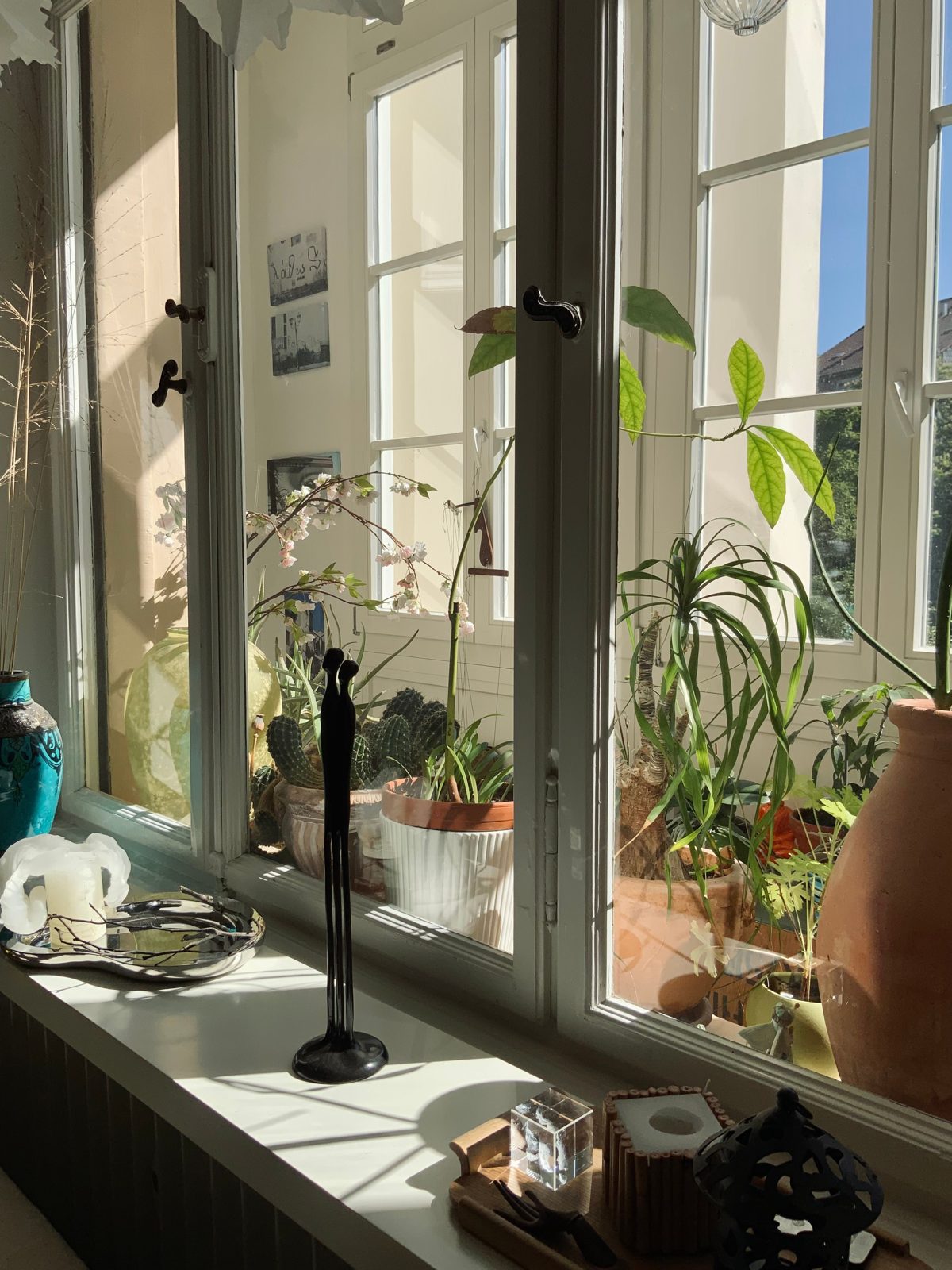 Sunlight pouring through clean windows onto a sill full of plants